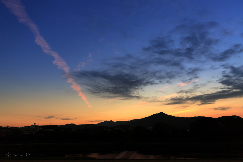 朝の飛行機雲