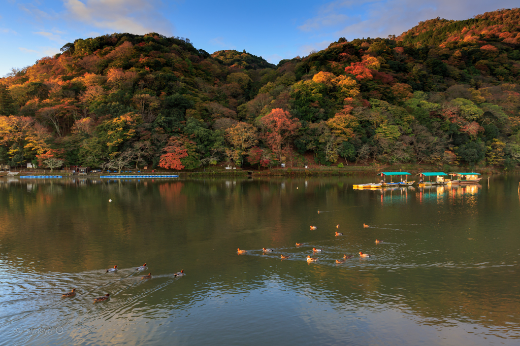 嵐山の色