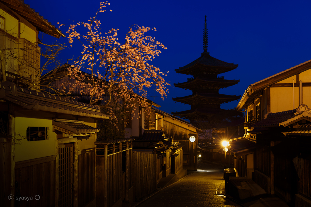 八坂桜－京の桜便り04