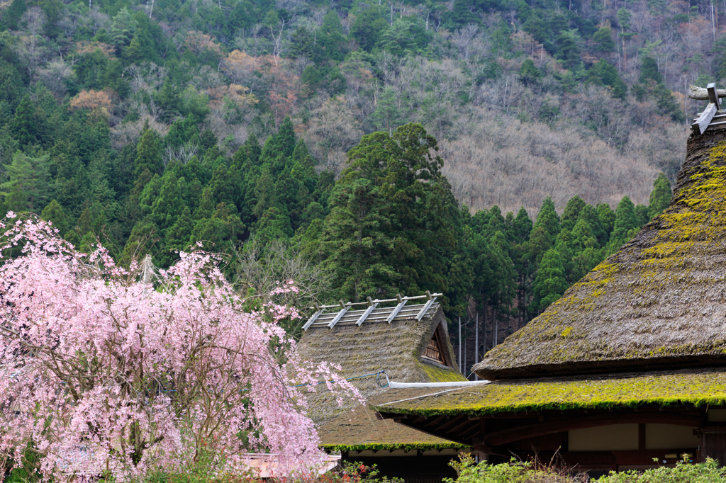 かやぶき屋根