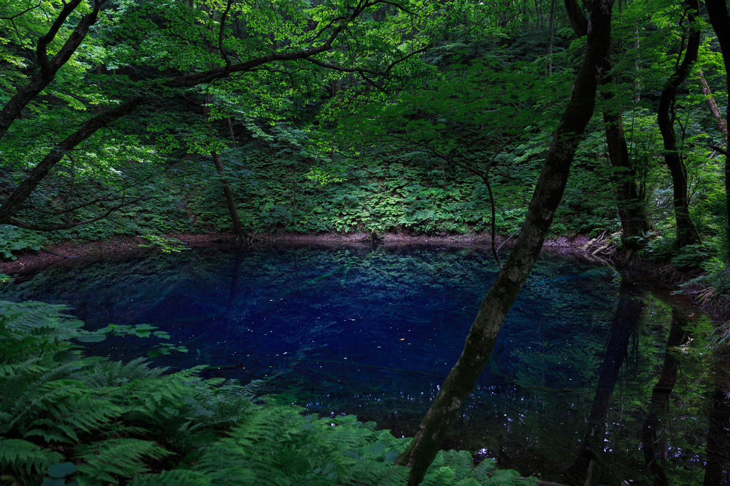 ☆深淵なるアオ色--青池