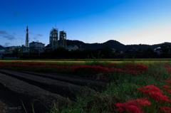 工場と曼珠沙華