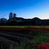 工場と曼珠沙華