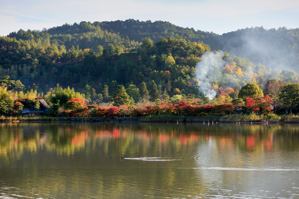 広沢池の色