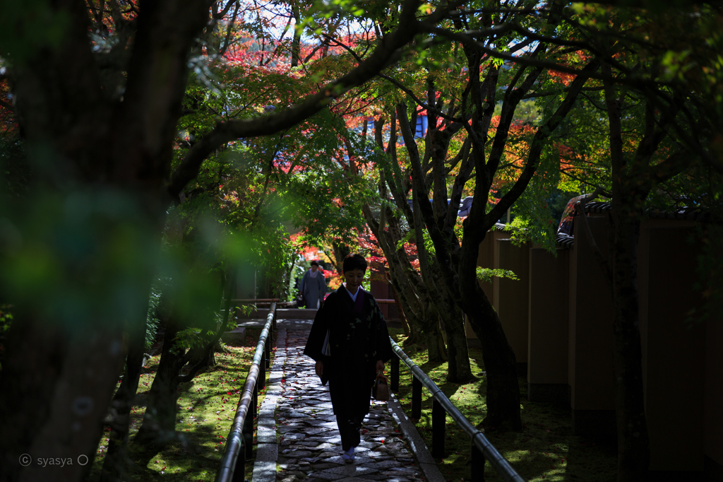 秋の古刹めぐり--もみじに包まれて、、、