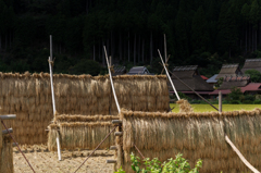 初秋　日本の原風景02