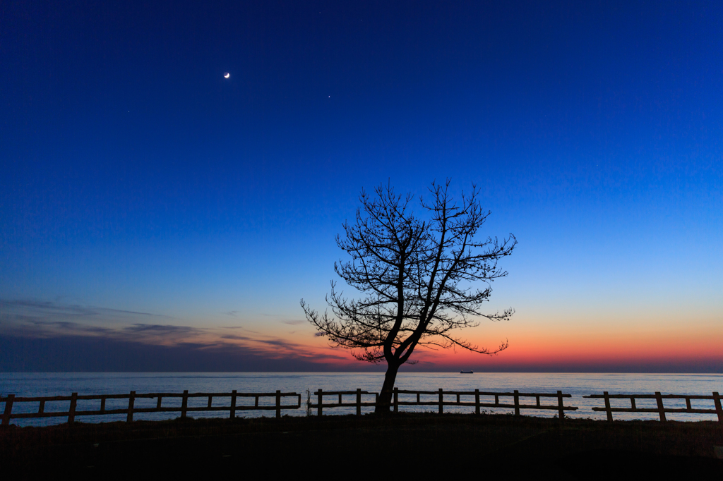 夜空のハーモニー⁉︎