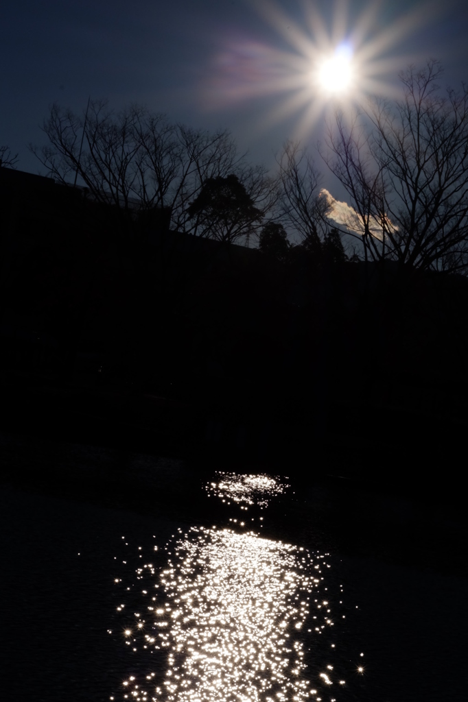 逆光がすきなんです