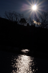 逆光がすきなんです