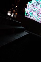 来年は、一緒に...