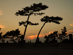 森戸海岸の夕暮れ時