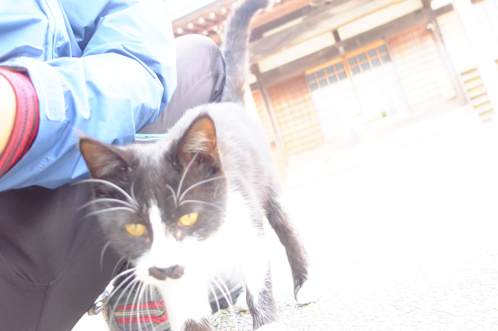 よその子②−２と僕