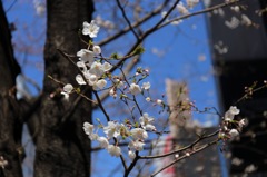 待ち焦がれて