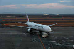 ready for flight