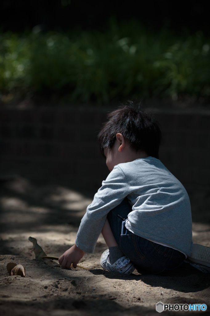 Play with dinosour