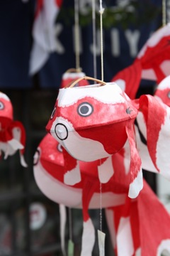 金魚のいる通り