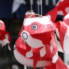 金魚のいる通り