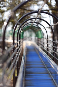 Warp