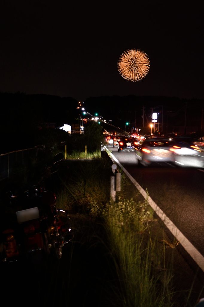 FLHと大輪の花④