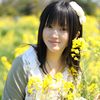 菜の花