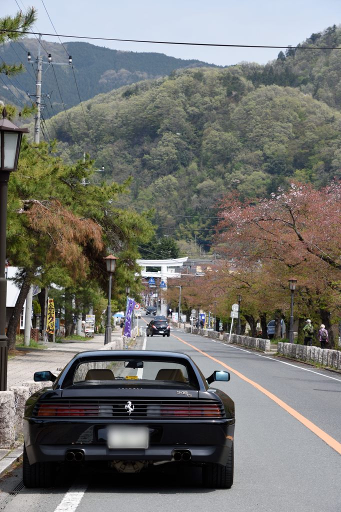 過ぎ去った桜の季節②