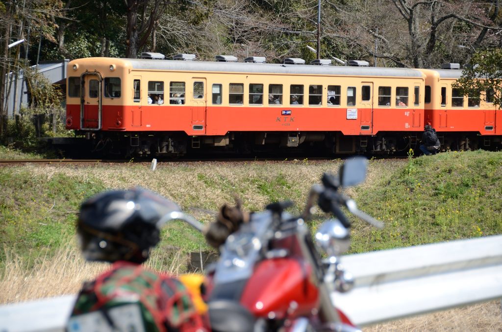 蔵出し　郷愁のローカル線が走る地