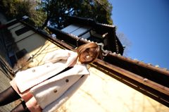 うさぎの江戸川橋散歩⑥