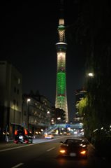 夜ドラは楽しいな③　ツリーがお好き？