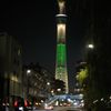 夜ドラは楽しいな③　ツリーがお好き？