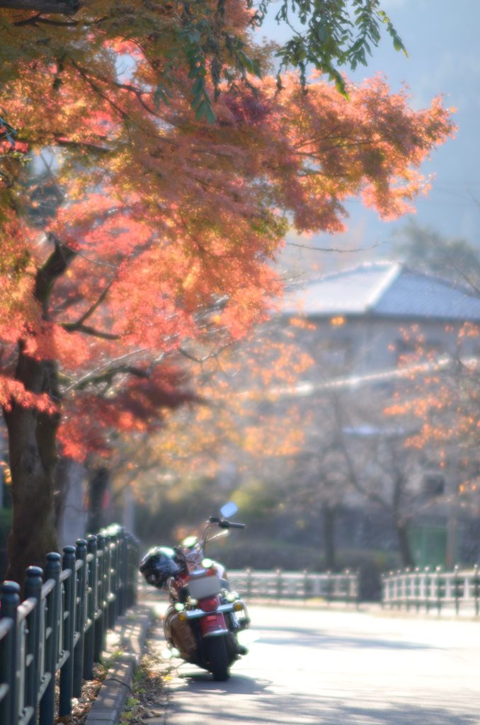 秋色ツーリング
