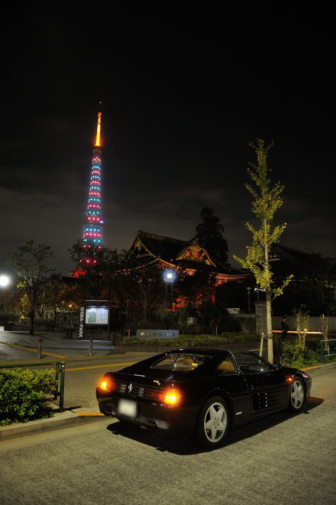 夜ドラは楽しいな④　タワーがお好き？