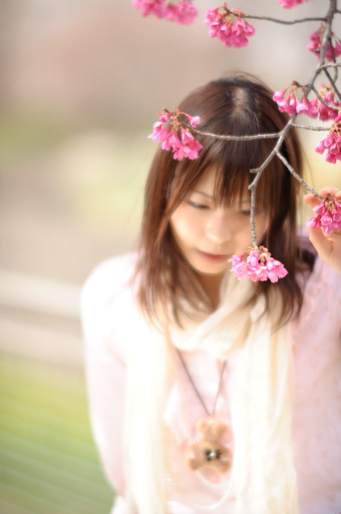 早咲きの桜と