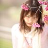 早咲きの桜と