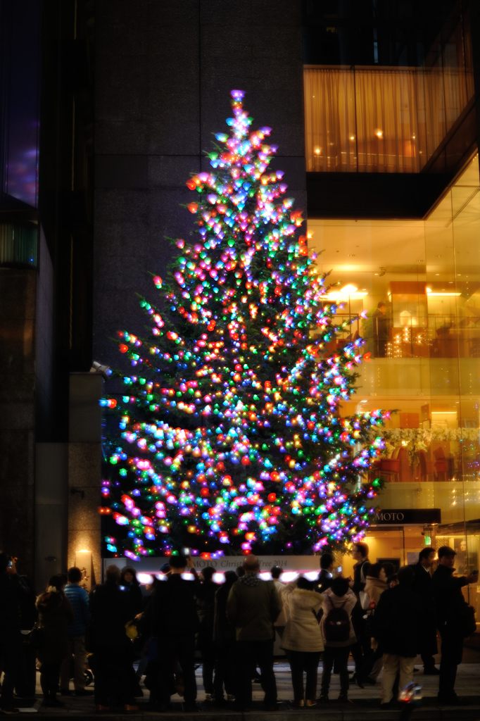 最後のクリスマス