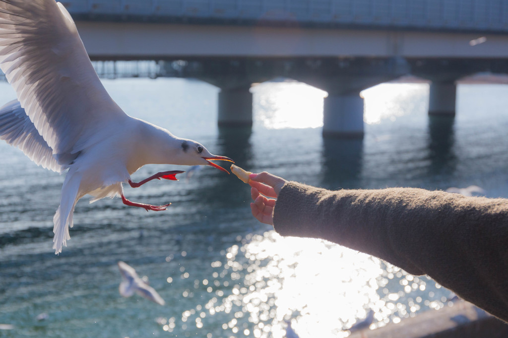 catch!