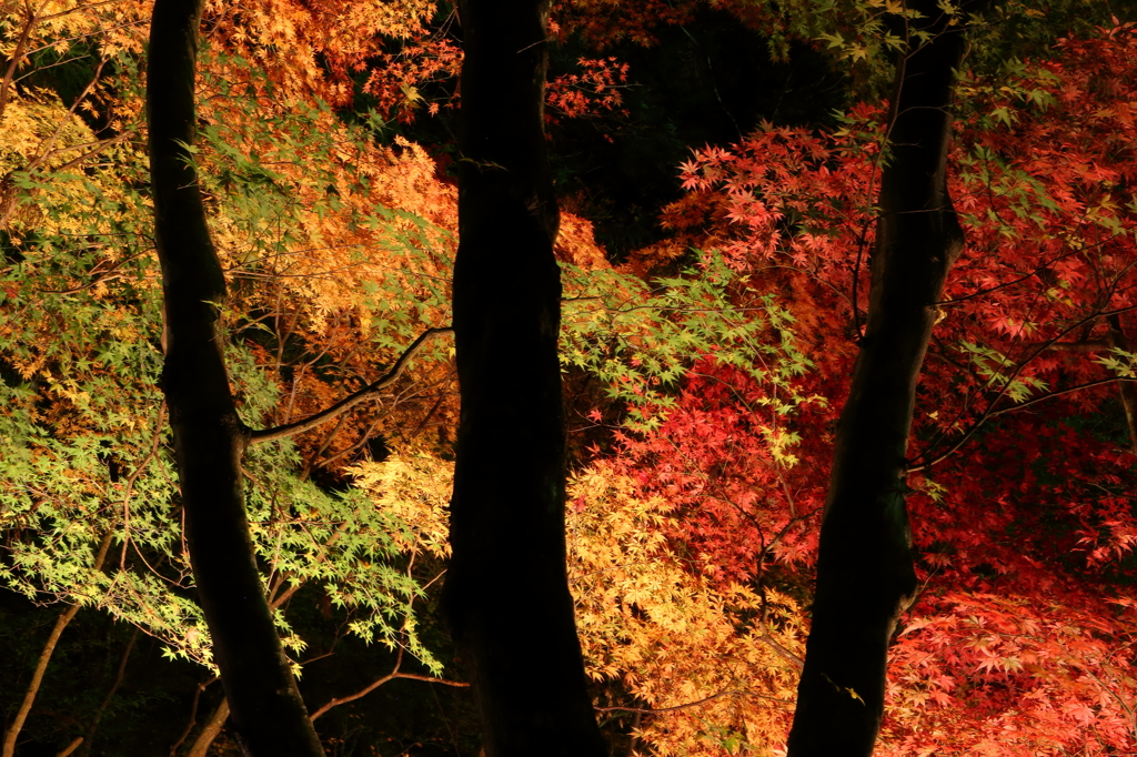 向こう側の風景