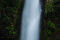 浄蓮の滝　IMG_2267