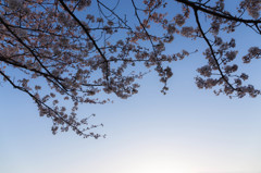 夕暮れに想う