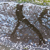水たまりにも