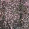 一会