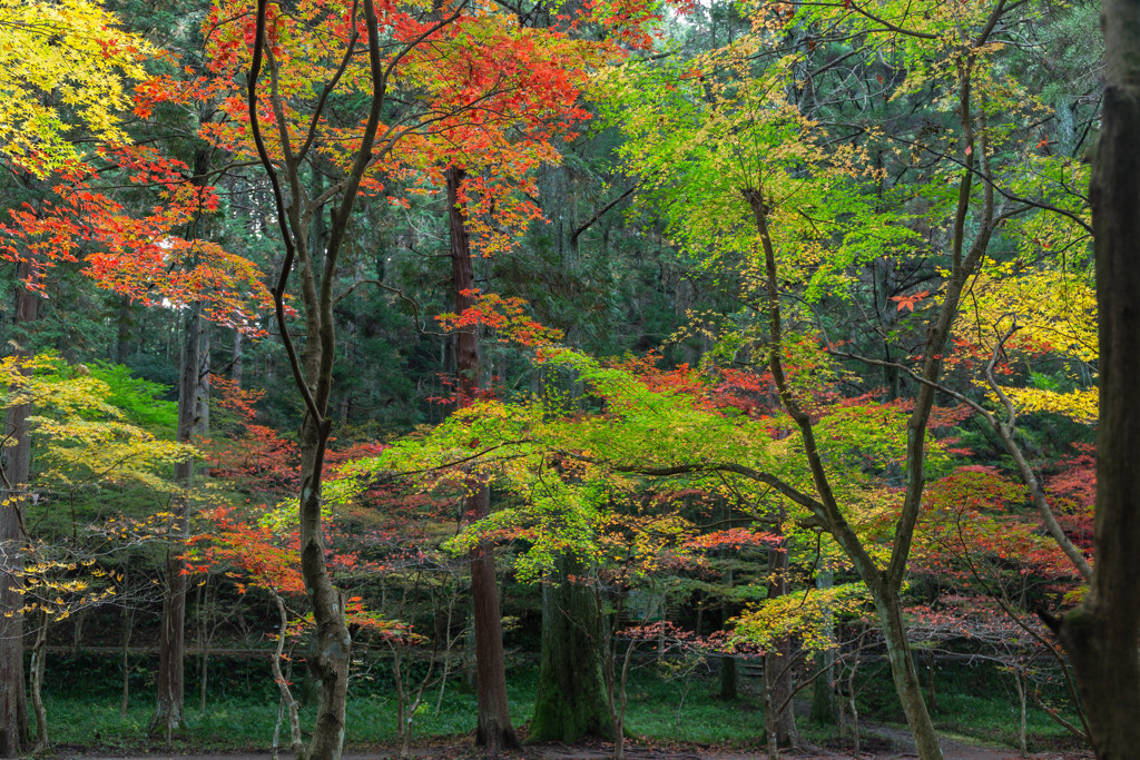 小國神社7