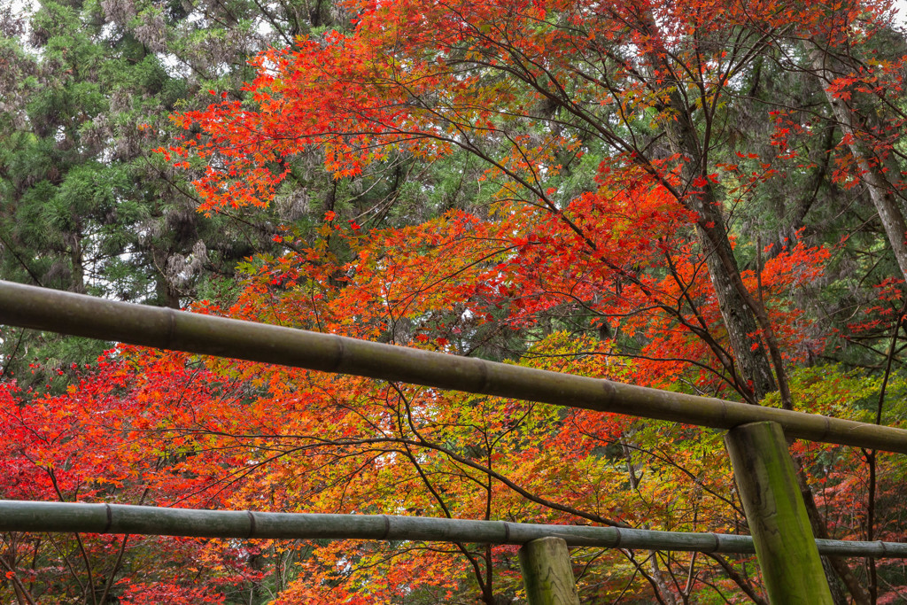 小國神社8