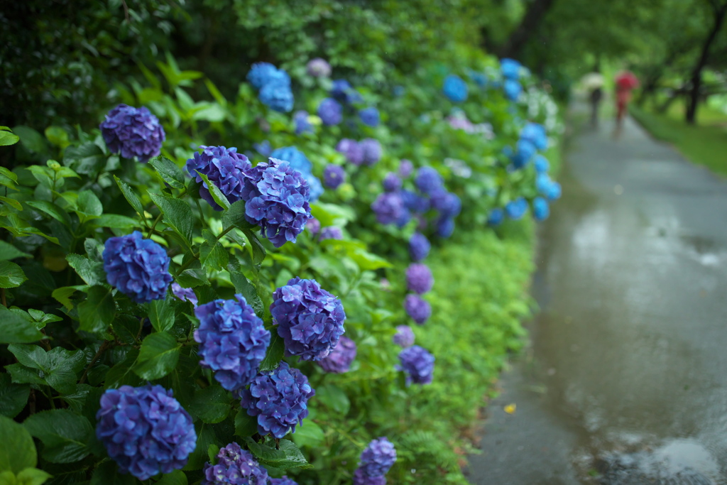雨の日　ふたりだけの時間
