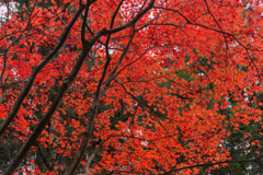 小國神社4