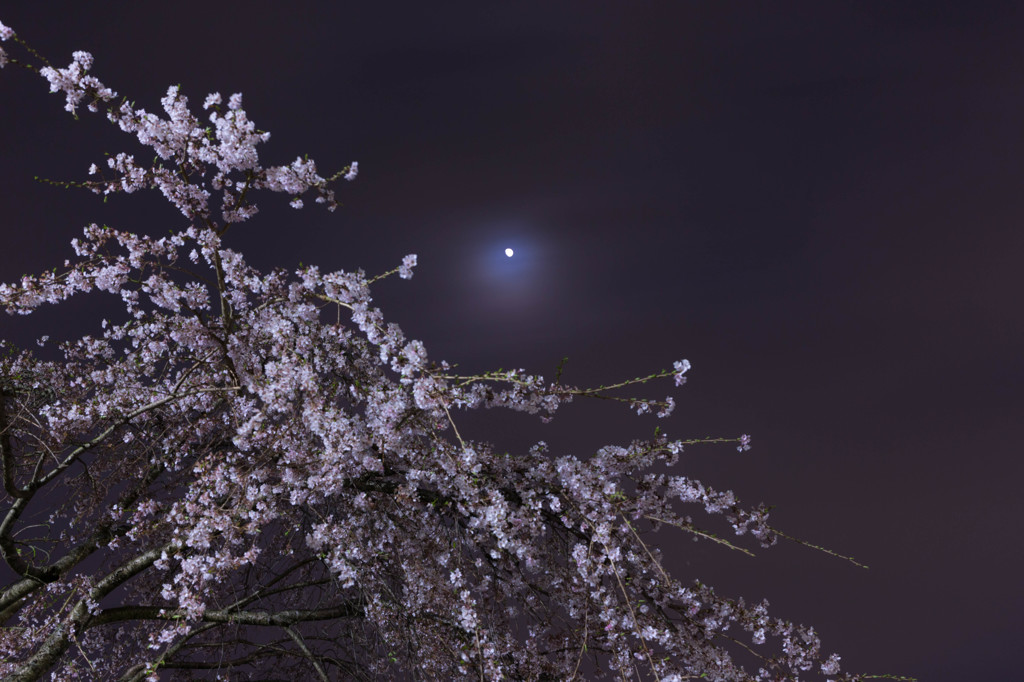 minimumoon