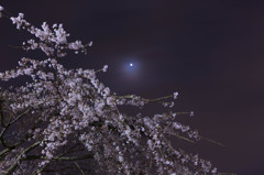 minimumoon