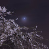 minimumoon