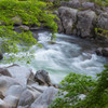 香嵐渓の春