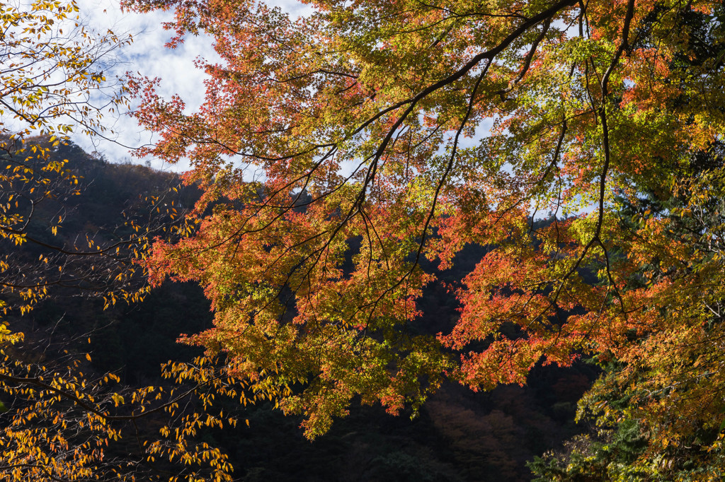 山の辺