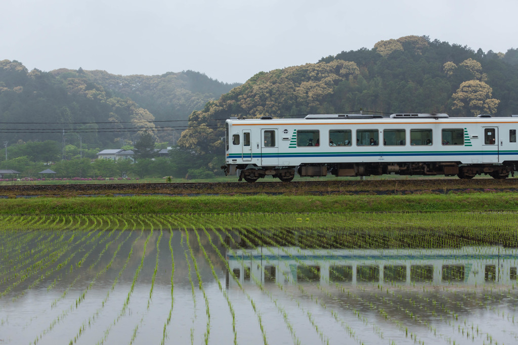 五月雨の早稲田を